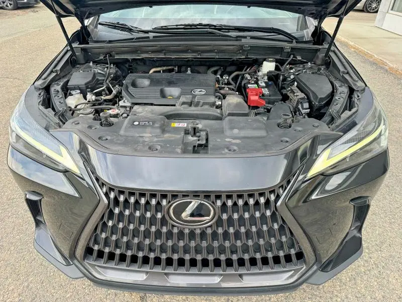 2022 LEXUS NX 250  