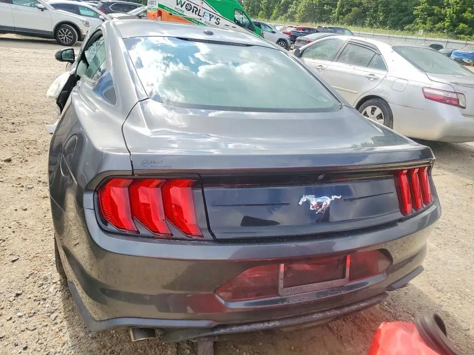 2019 FORD MUSTANG   