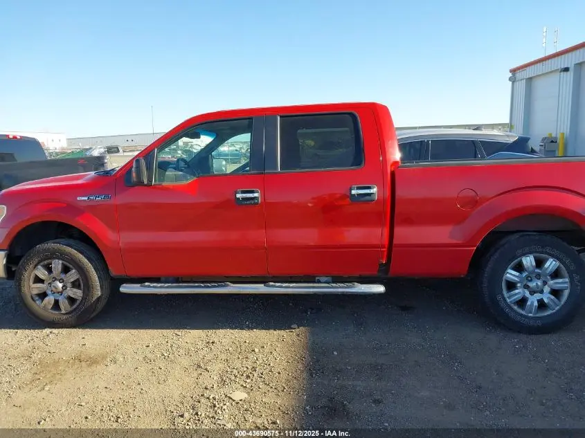 2010 FORD F-150 FX4/HARLEY-DAVIDSON/KING RANCH/LARIAT/PLATINUM/XL/XLT
