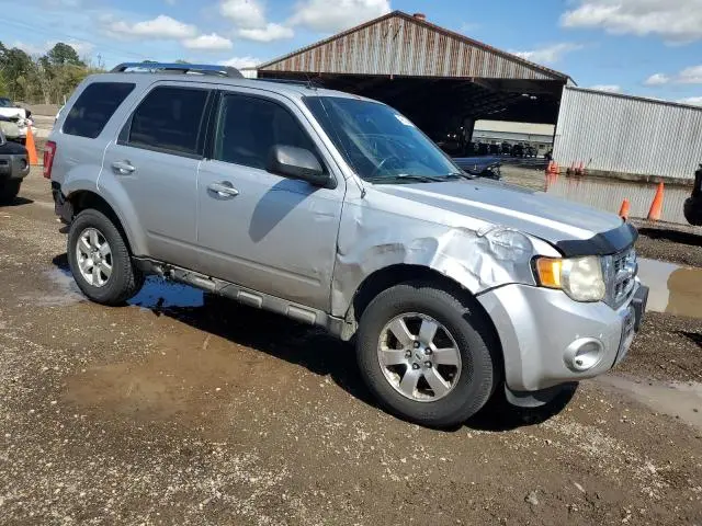 2010 FORD ESCAPE LIMITED  
