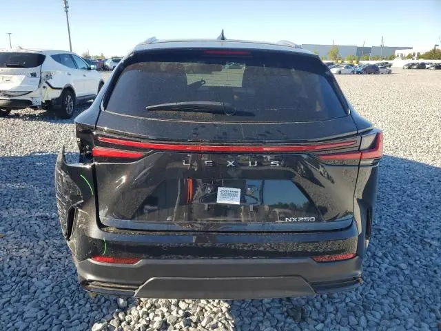2025 LEXUS NX 250 BASE  