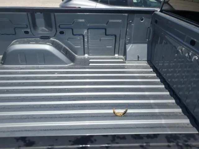 2025 CHEVROLET SILVERADO C1500  