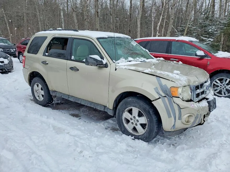 2011 FORD ESCAPE XLT  