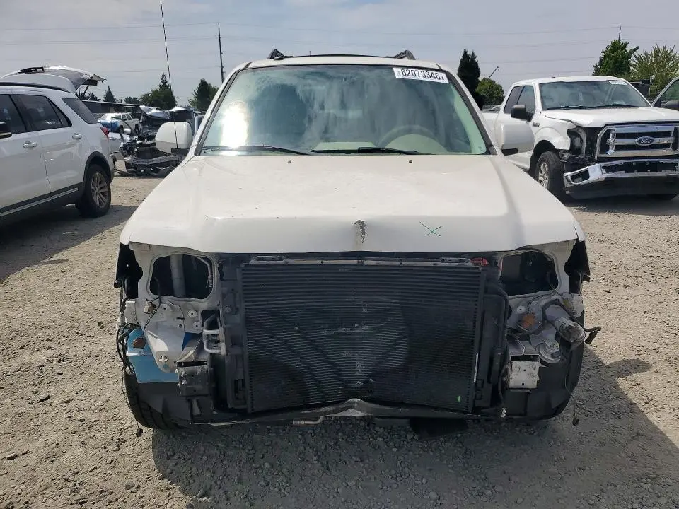 2010 FORD ESCAPE LIMITED  