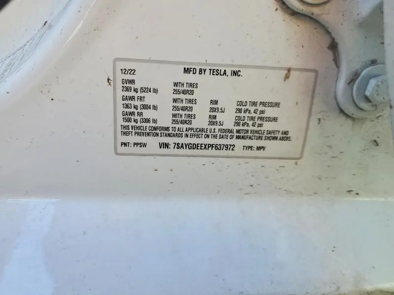2023 TESLA MODEL Y   