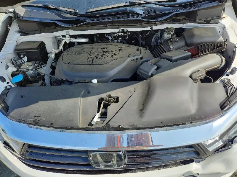 2024 HONDA ODYSSEY EXL  