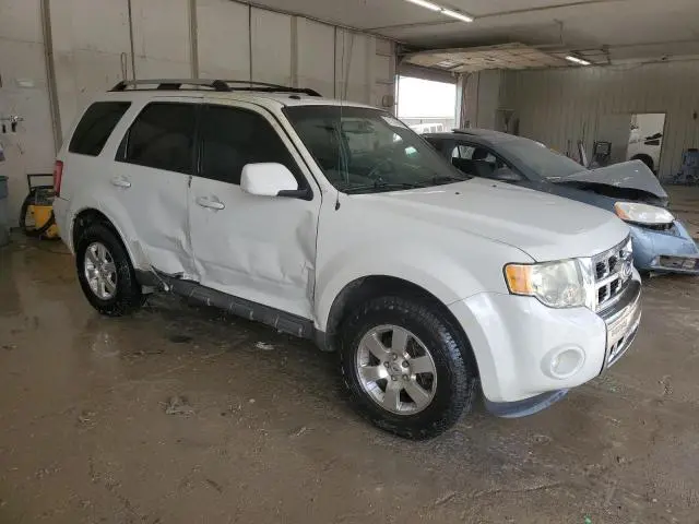 2011 FORD ESCAPE LIMITED  