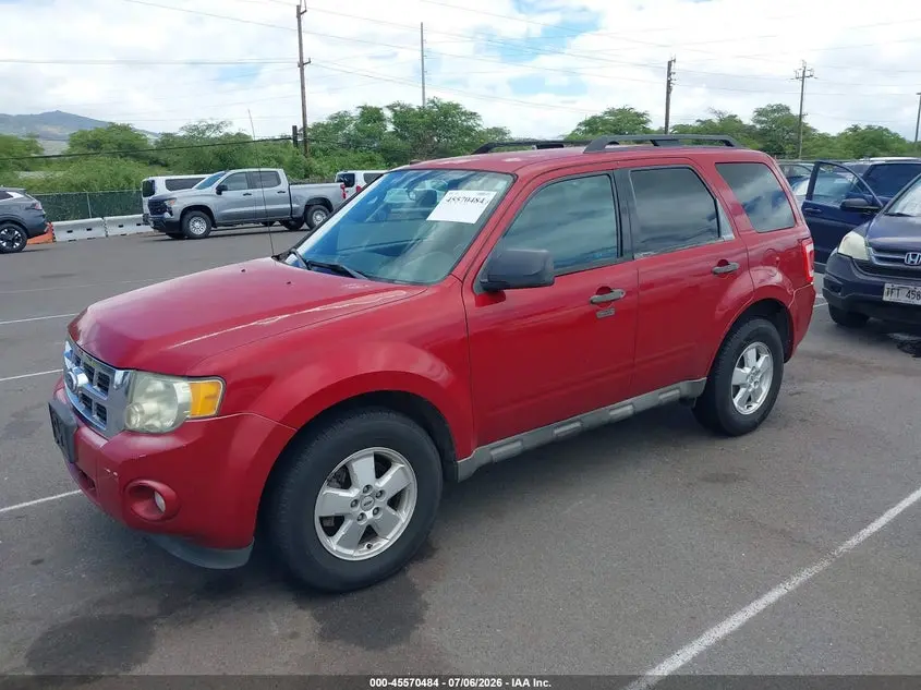2011 FORD ESCAPE XLT
