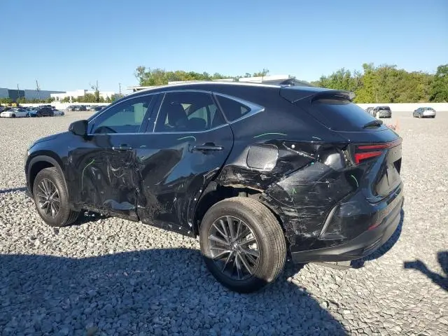 2025 LEXUS NX 250 BASE  