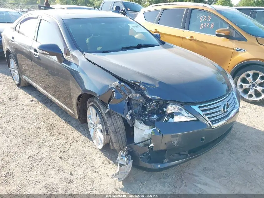 2010 LEXUS ES 350  