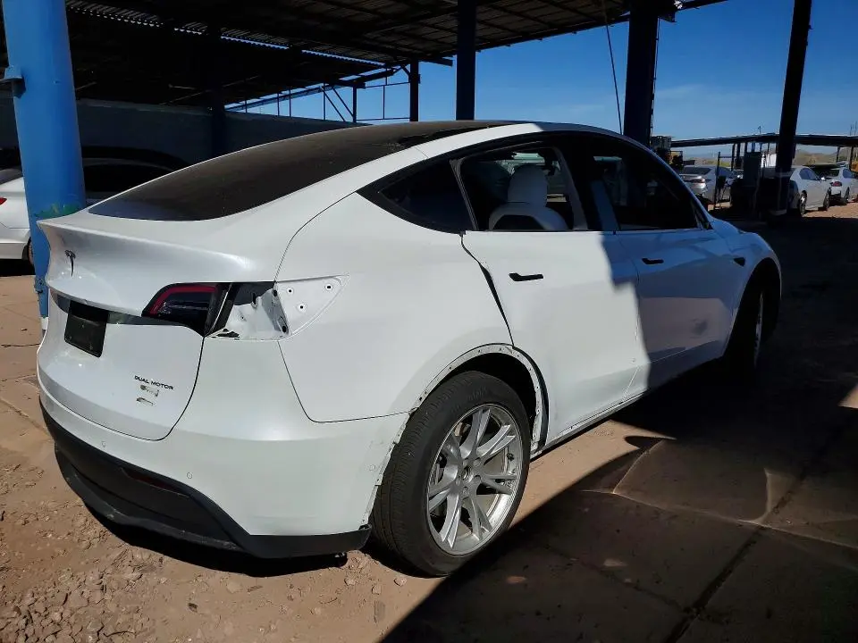 2021 TESLA MODEL Y   