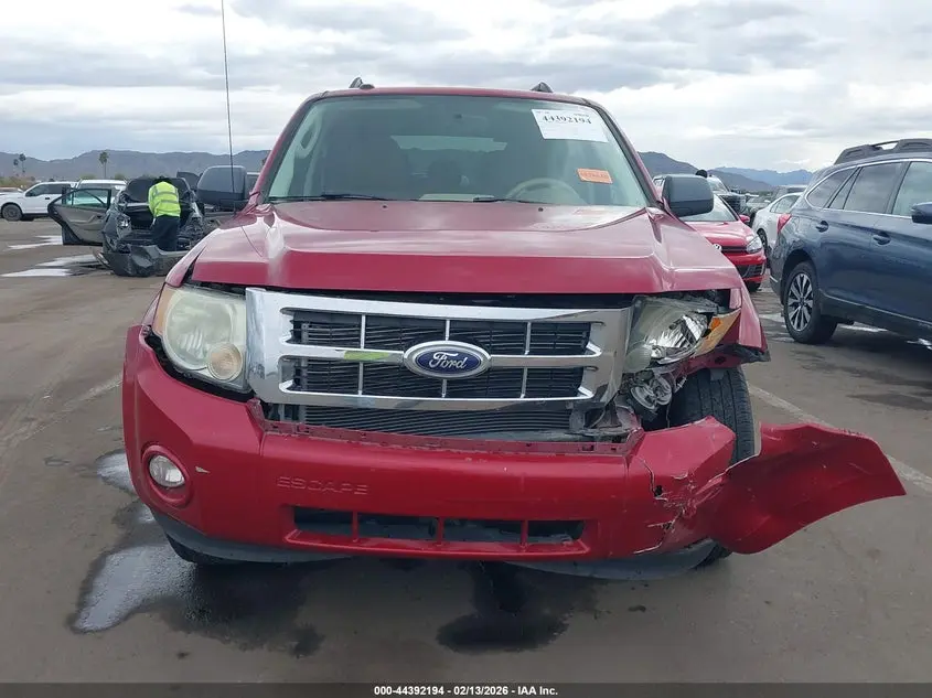 2010 FORD ESCAPE XLT