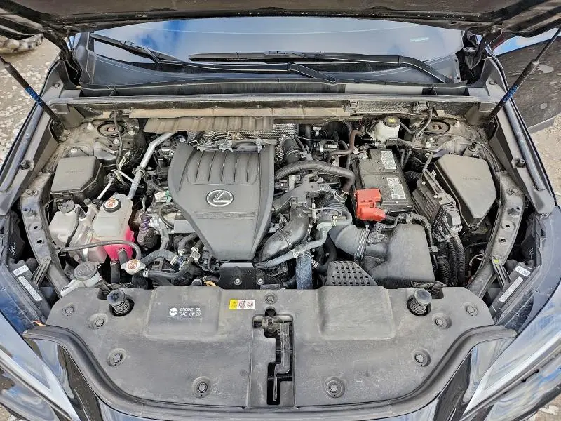 2024 LEXUS NX 350 PREMIUM  