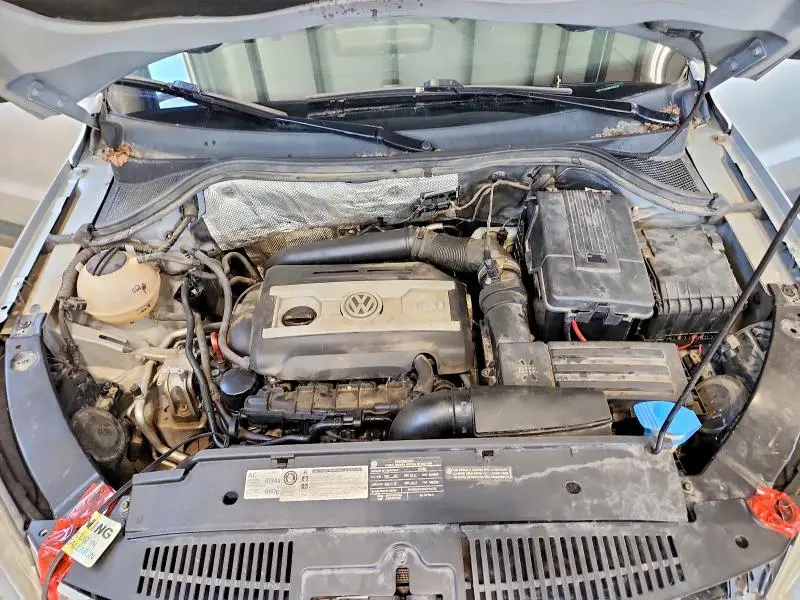 2011 VOLKSWAGEN TIGUAN S  