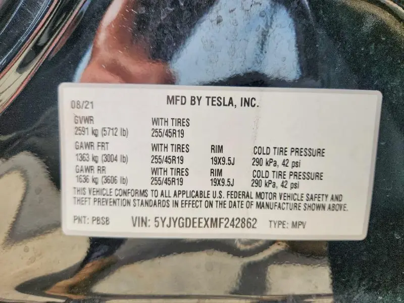 2021 TESLA MODEL Y   