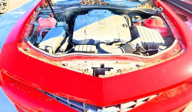 2010 CHEVROLET CAMARO LT  