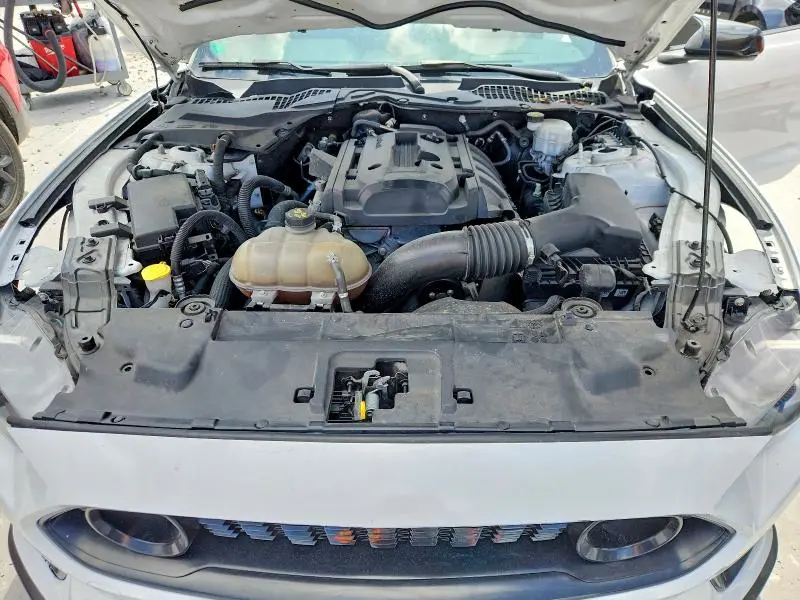 2019 FORD MUSTANG   