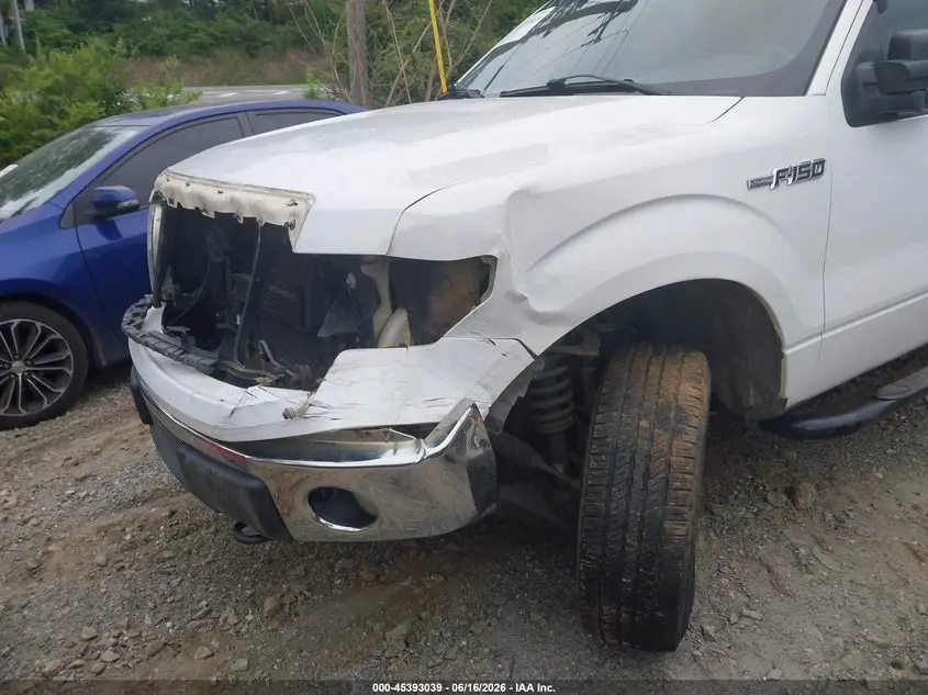 2012 FORD F-150 FX4/KING RANCH/LARIAT/PLATINUM/XL/XLT