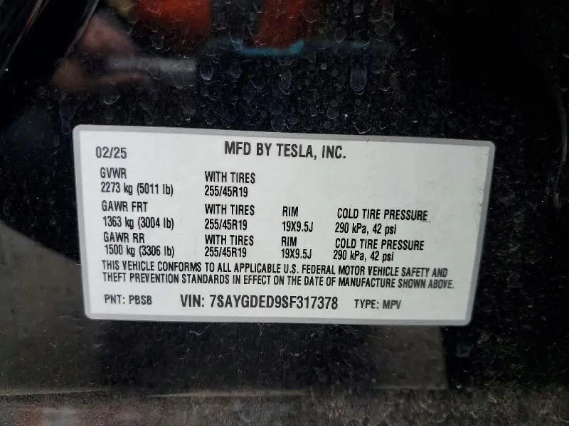 2025 TESLA MODEL Y   