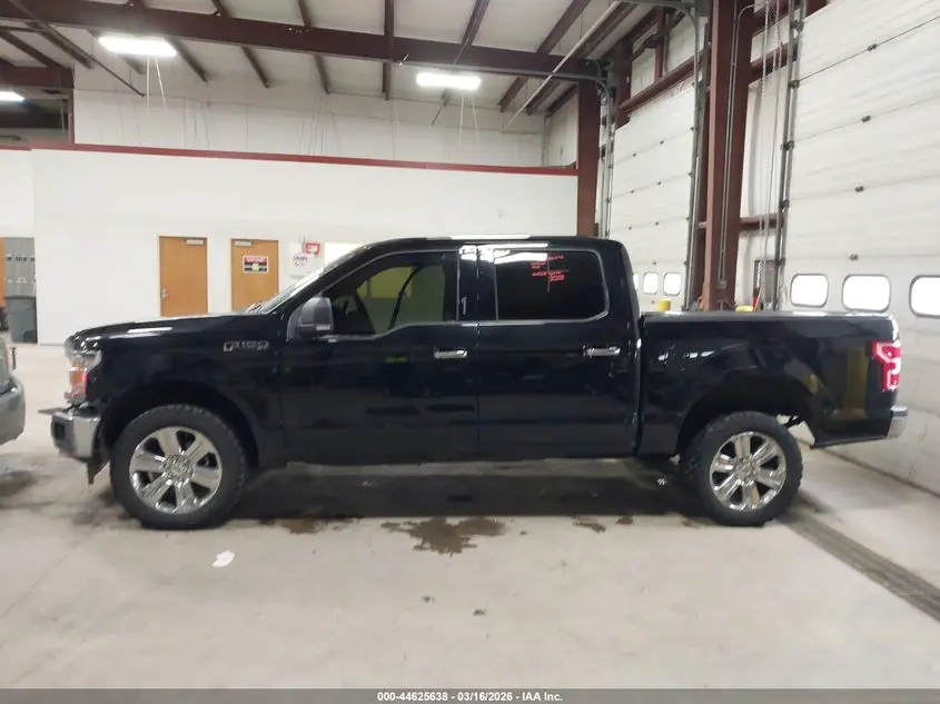 2019 FORD F-150 XLT