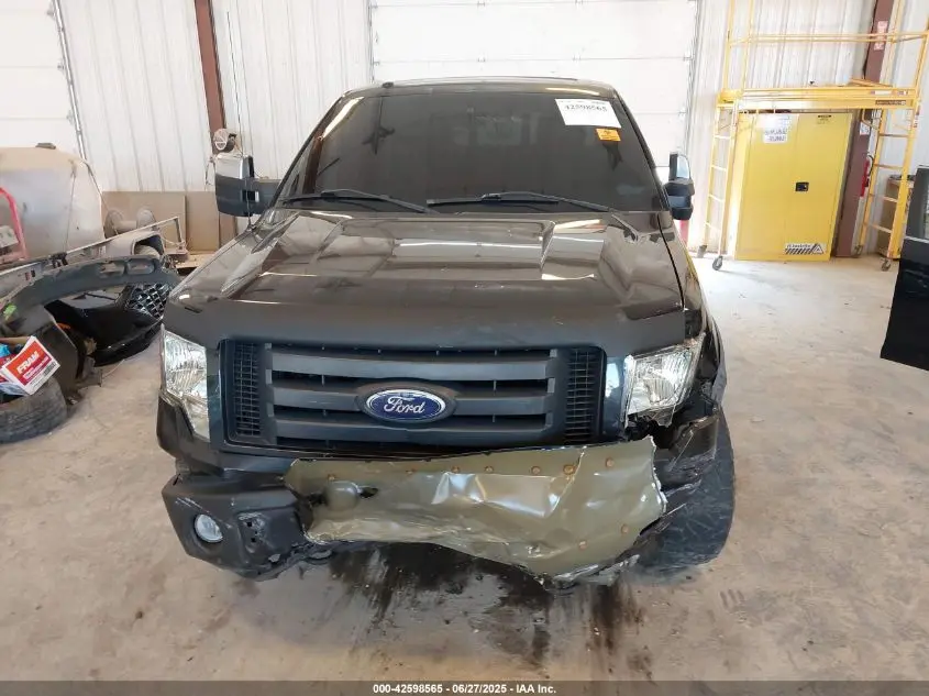 2010 FORD F-150 FX4/HARLEY-DAVIDSON/KING RANCH/LARIAT/PLATINUM/XL/XLT