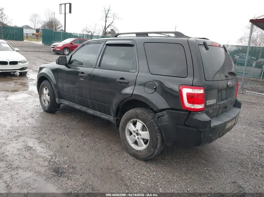 2011 FORD ESCAPE XLT