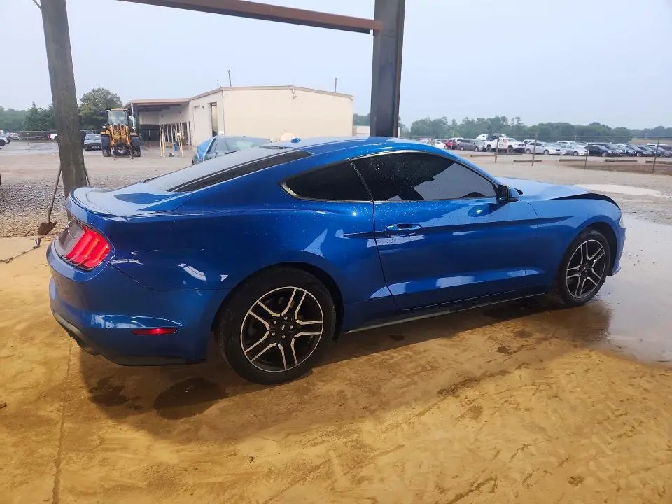 2019 FORD MUSTANG   