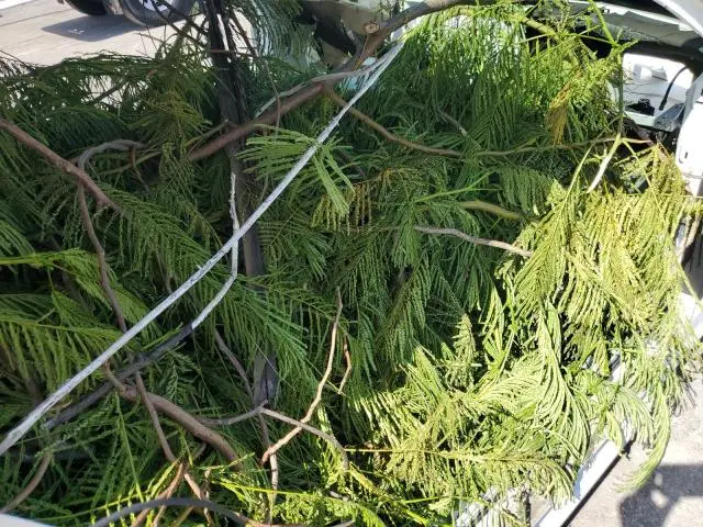 2012 BENTLEY CONTINENTAL GT  