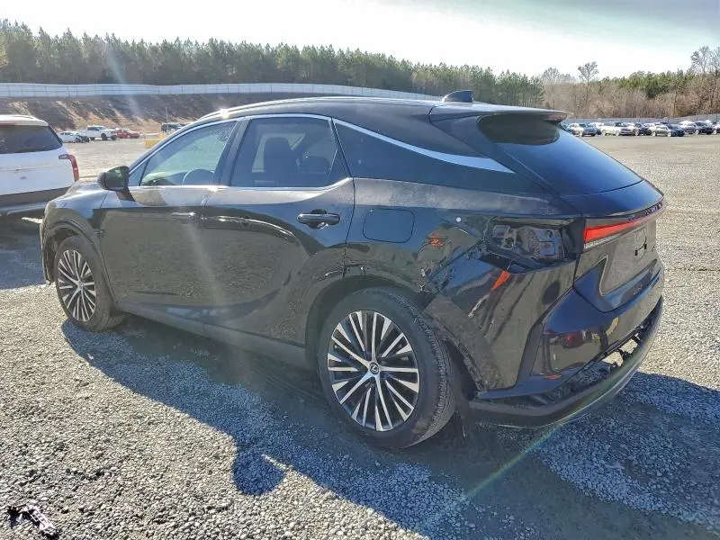 2024 LEXUS RX   