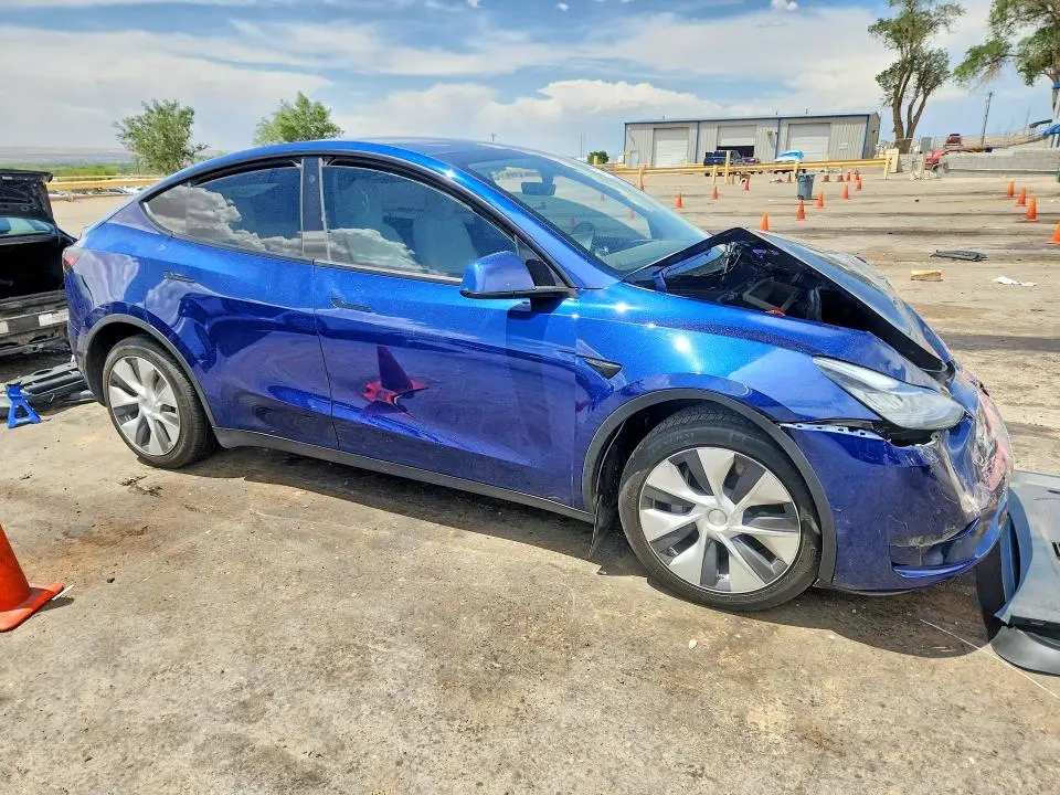 2021 TESLA MODEL Y   