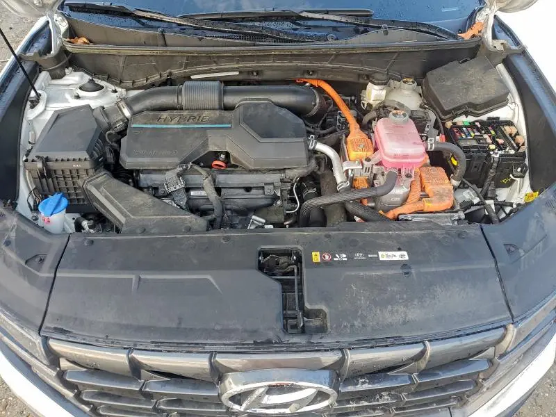 2024 HYUNDAI TUCSON BLUE  