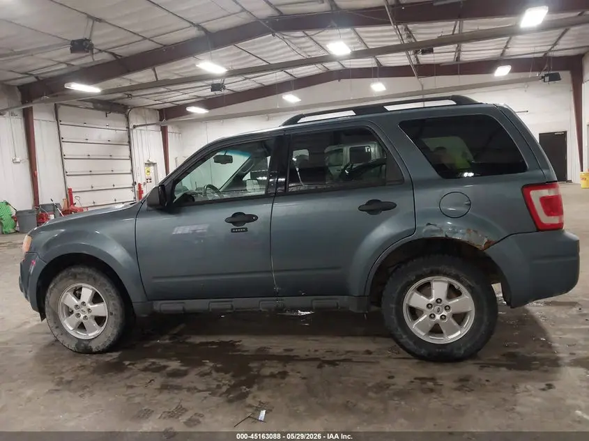2011 FORD ESCAPE XLT