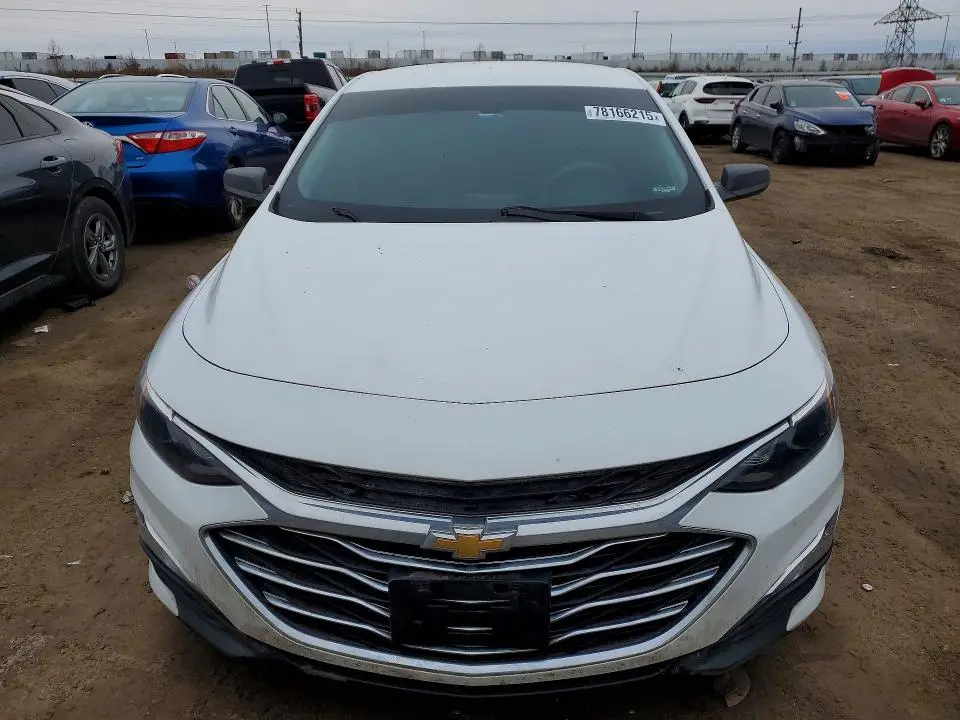2019 CHEVROLET MALIBU LS  