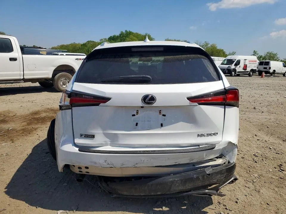 2019 LEXUS NX 300 F SPORT  