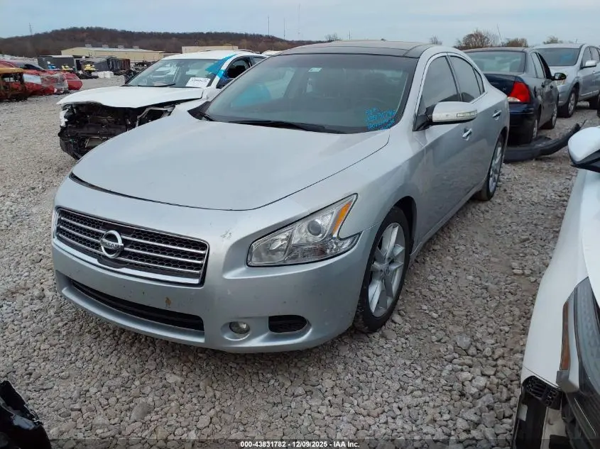 2011 NISSAN MAXIMA 3.5 SV