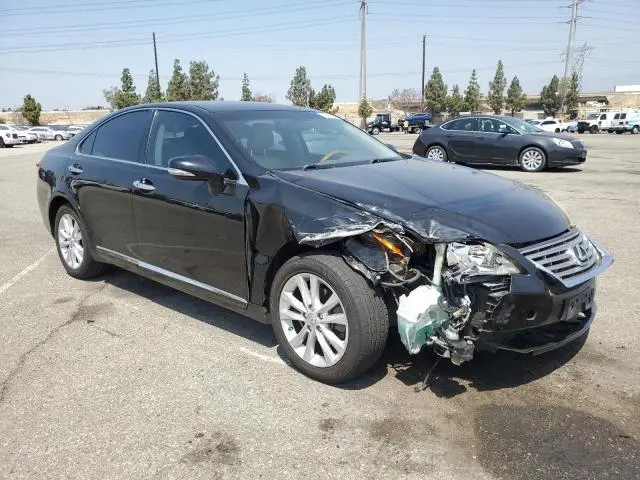 2010 LEXUS ES 350  