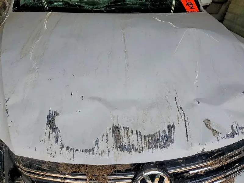 2017 VOLKSWAGEN TIGUAN S  