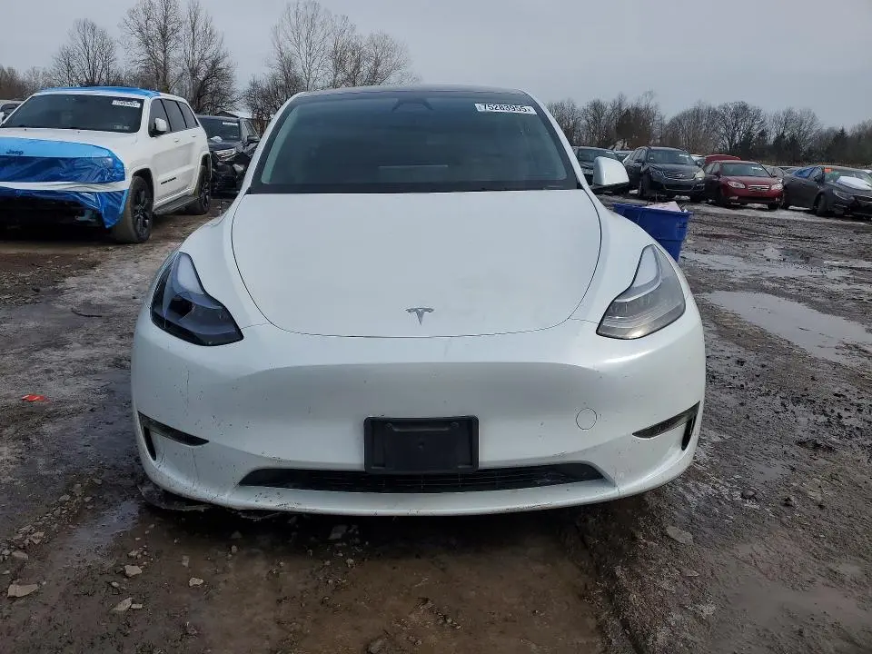 2025 TESLA MODEL Y   