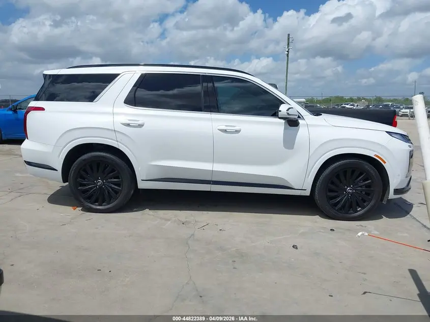 2025 HYUNDAI PALISADE CALLIGRAPHY NIGHT EDITION