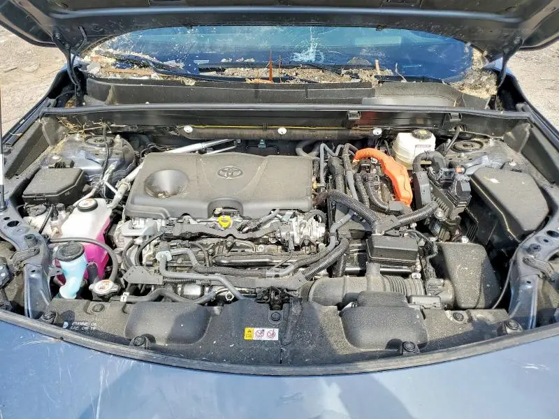 2024 TOYOTA VENZA LIMITED  