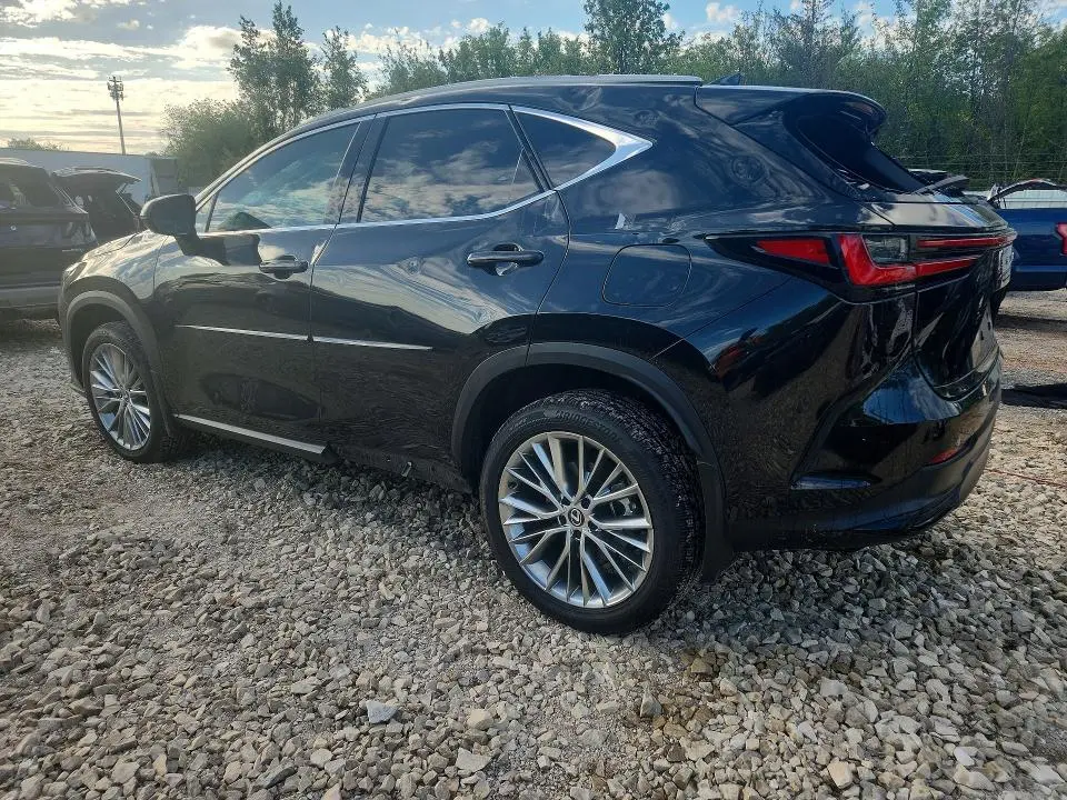 2024 LEXUS NX 350 LUXURY  
