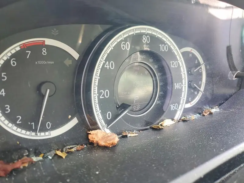 2013 HONDA ACCORD EXL  