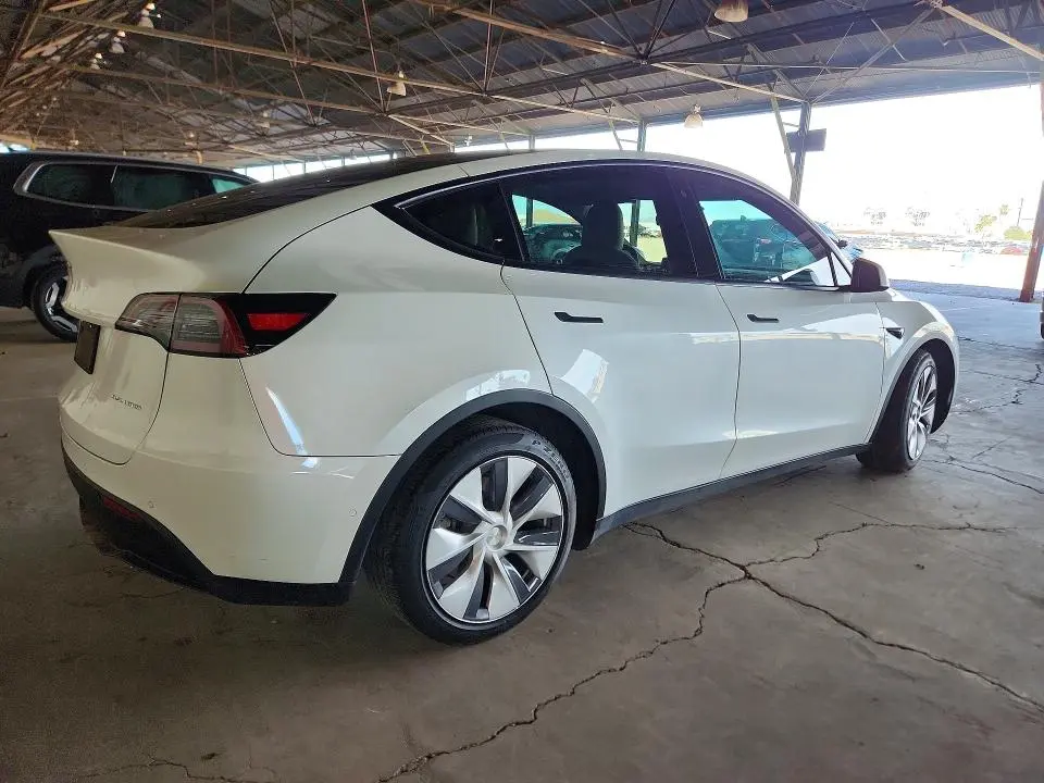 2020 TESLA MODEL Y   