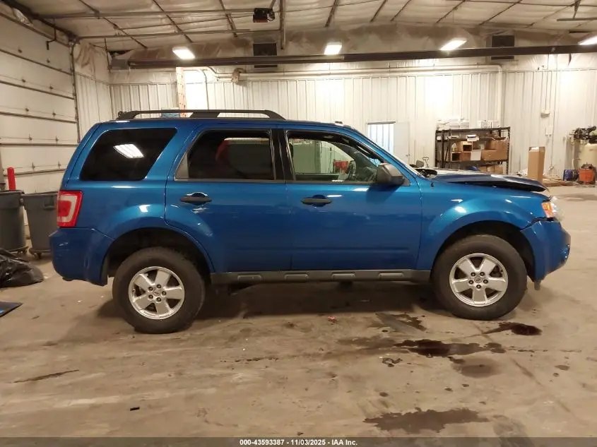2011 FORD ESCAPE XLT