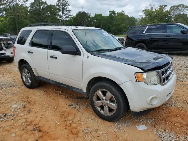 2010 FORD ESCAPE XLT