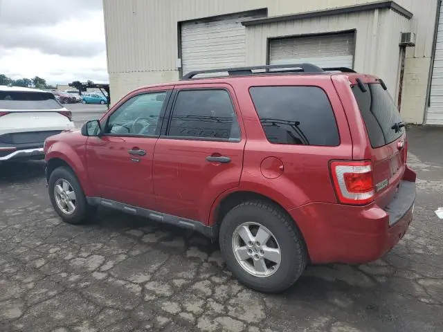 2010 FORD ESCAPE XLT