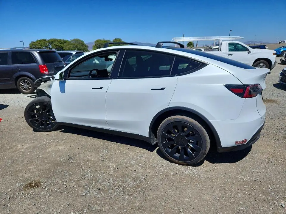 2024 TESLA MODEL Y   