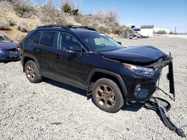 2024 TOYOTA RAV4 WOODLAND EDITION