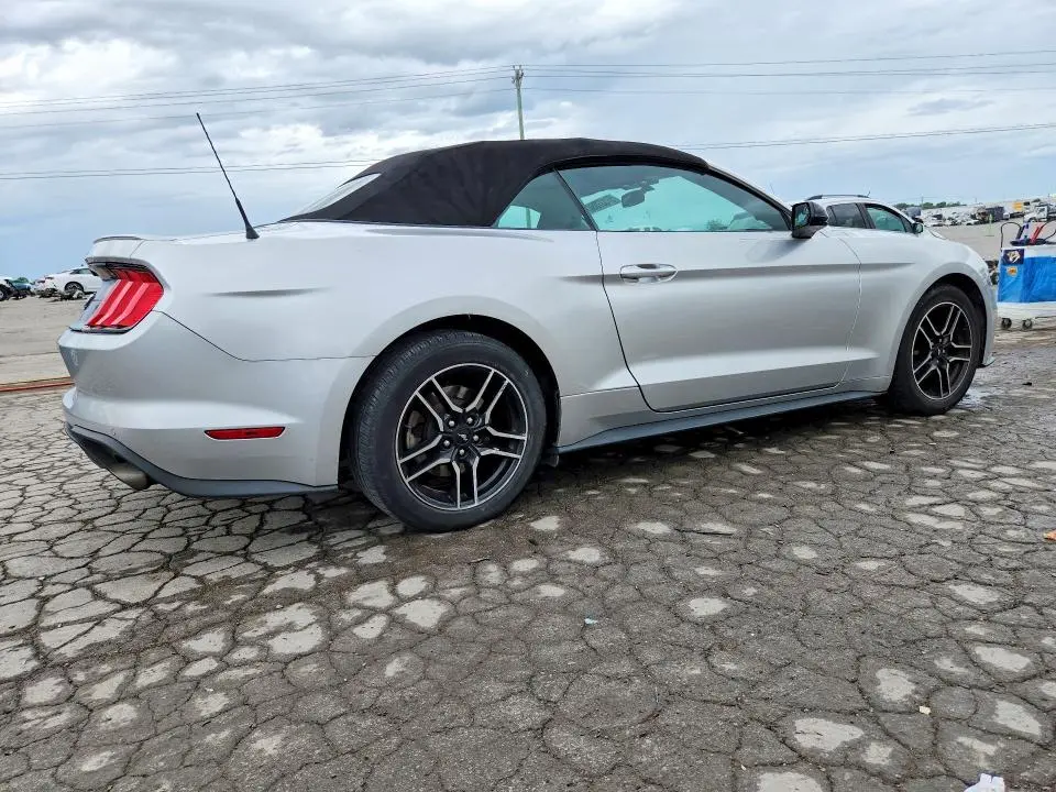 2019 FORD MUSTANG   