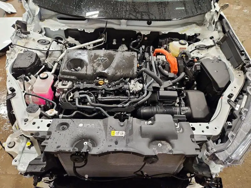 2025 TOYOTA RAV4 XSE  